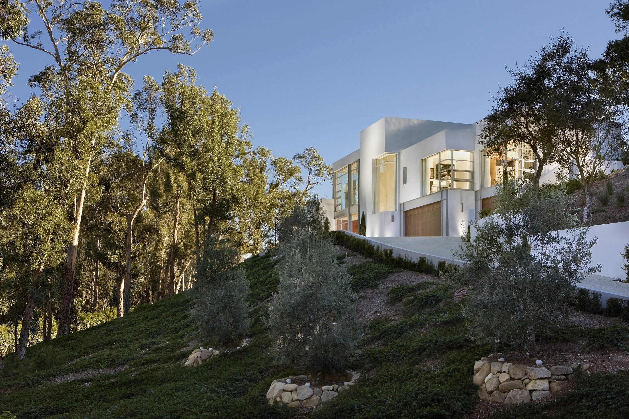Modern house on a hillside with trees and greenery