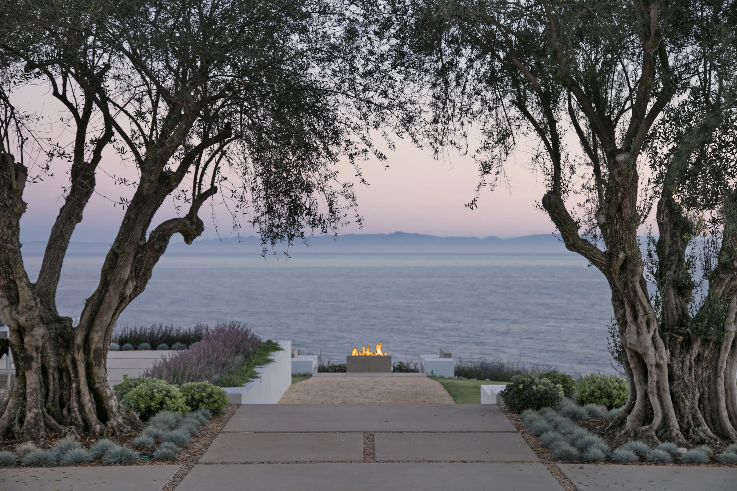 Ocean view through olive trees with a fire pit in a coastal landscape design at a luxury residence.